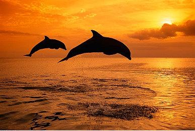 《巫师4》还要等一段时间：几周前刚进入全面开发